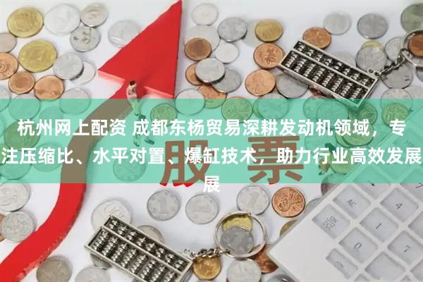 杭州网上配资 成都东杨贸易深耕发动机领域,专注压缩比、水平对置、爆缸技术,助力行业高效发展
