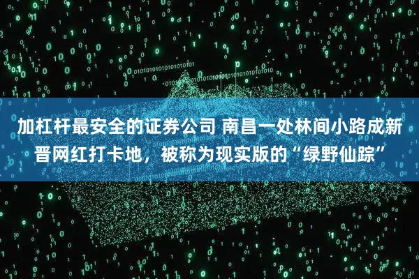 加杠杆最安全的证券公司 南昌一处林间小路成新晋网红打卡地，被称为现实版的“绿野仙踪”