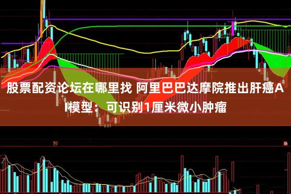股票配资论坛在哪里找 阿里巴巴达摩院推出肝癌AI模型：可识别1厘米微小肿瘤
